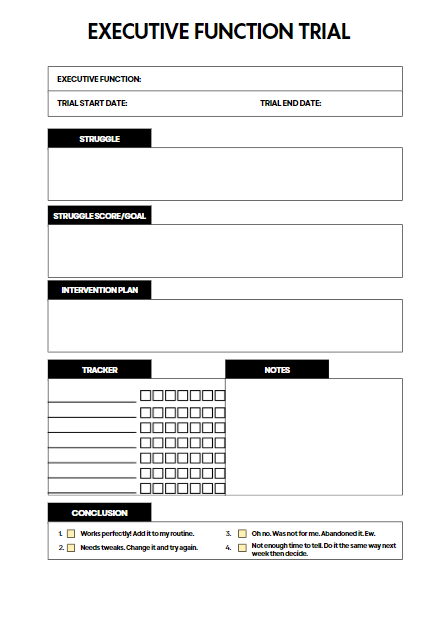 Exexcutive functions trial blank doc and example