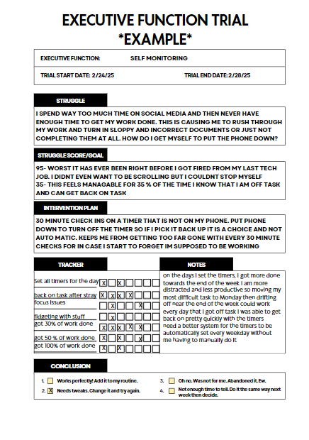 Exexcutive functions trial blank doc and example